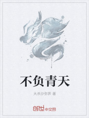不負青天