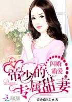 閃婚霸愛：帝少的專屬甜妻