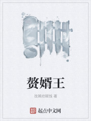 贅婿王