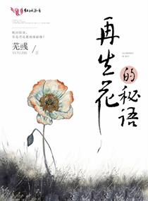 再生花的秘語 再生花的秘語