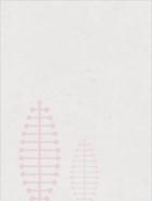 空間農女：忠犬夫君賴上門