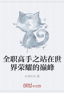 全職高手之站在世界榮耀的巔峰