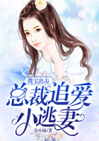 攜寶出擊：總裁追愛小逃妻