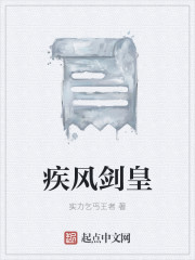 疾風劍皇