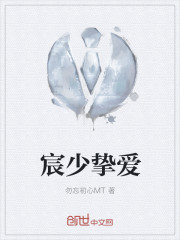 宸少摯愛