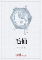 毛仙