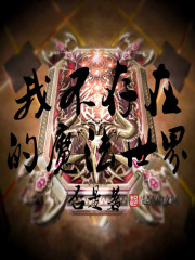 我不存在的魔法世界