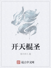 開天棍聖