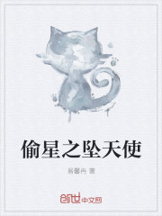 偷星之墜天使