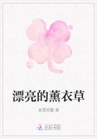 漂亮的紫色薰衣草