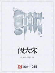 假大宋
