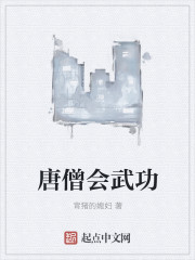 唐僧會武功