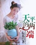 天平的兩端