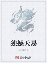 獨撼天易