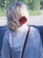 腹黑雙寶：冷情爹地很柔情