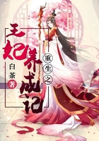 重生之王妃養成記