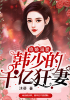 隱婚溺愛：韓少的千億狂妻