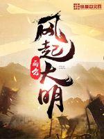 風起大明