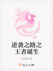 逆襲之路之王者誕生