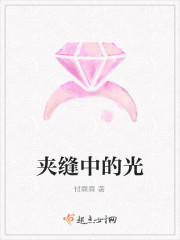 夾縫中的光