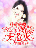 權婚撩人：BOSS嬌妻太惹火