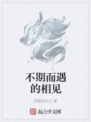 不期而遇的相見