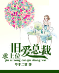 陸少獨寵重生妻