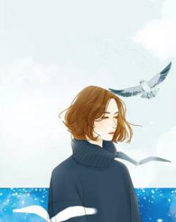 撩妻入懷：陸少很強勢