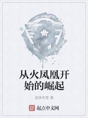 從火鳳凰開始的崛起