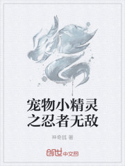 寵物小精靈之忍者無敵