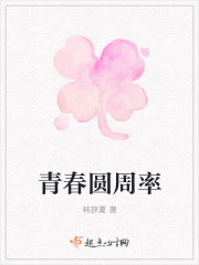 青春圓周率