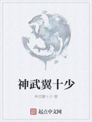 神武翼十少
