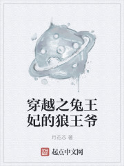 穿越之兔王妃的狼王爺