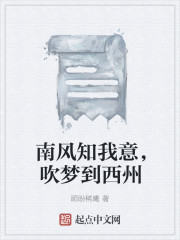 南風知我意，吹夢到西州