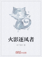 火影逐風者