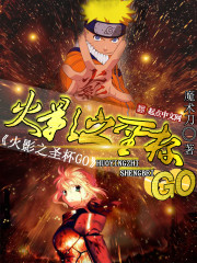 木葉之聖杯GO