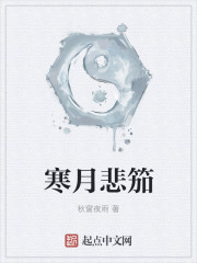 寒月悲笳