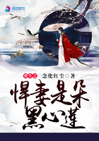 重生之悍妻是朵黑心蓮