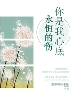你是我心底永恒的傷