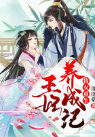 將女重生，王妃養成記