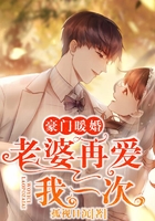 豪門暖婚：老婆再愛我一次