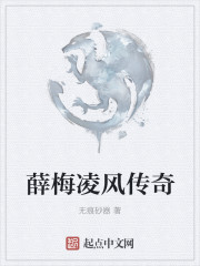 薛梅淩風傳奇