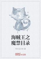 海賊王之魔禁目錄