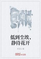 低到塵埃，靜待花開