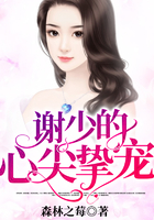 謝少的心尖摯寵
