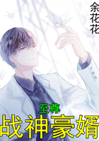 至尊戰神豪婿