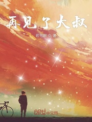 再見了大叔