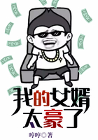 我的女婿太豪了