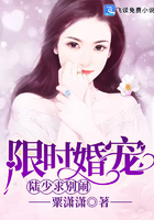 限時婚寵：陸少，求別鬧！封麵