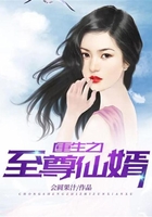 重生之至尊仙婿